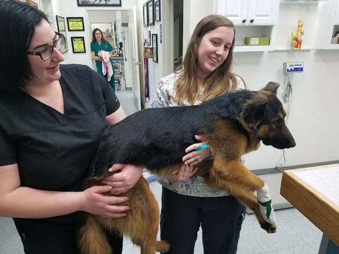 Caring Hands Veterinary Hospital 10