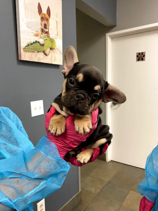 Animal Hospital of Thousand Oaks 2