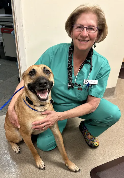Animal Hospital of Thousand Oaks 3