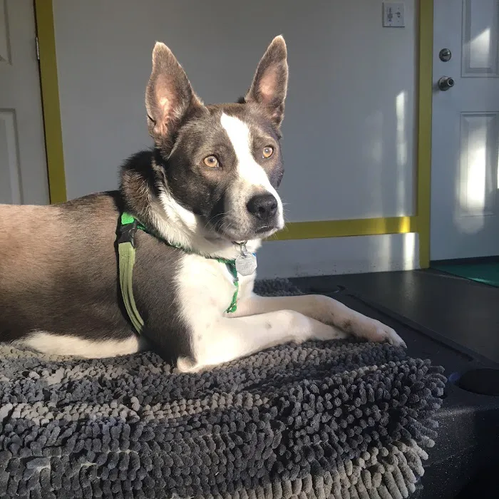 Milford Veterinary Hospital 4