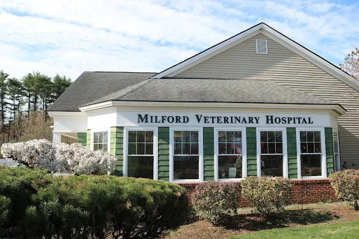 Milford Veterinary Hospital 6