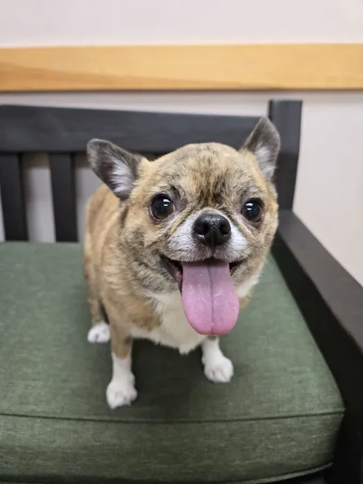 Milford Veterinary Hospital 1