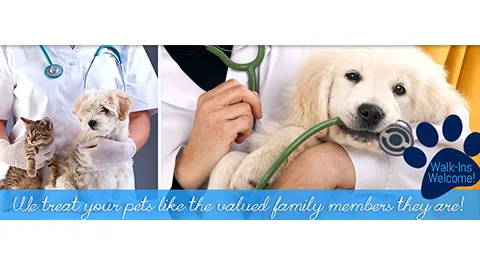 Great Brook Veterinary Clinic 1