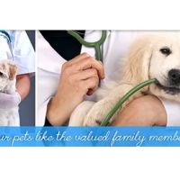 Great Brook Veterinary Clinic ico