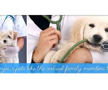 Great Brook Veterinary Clinic