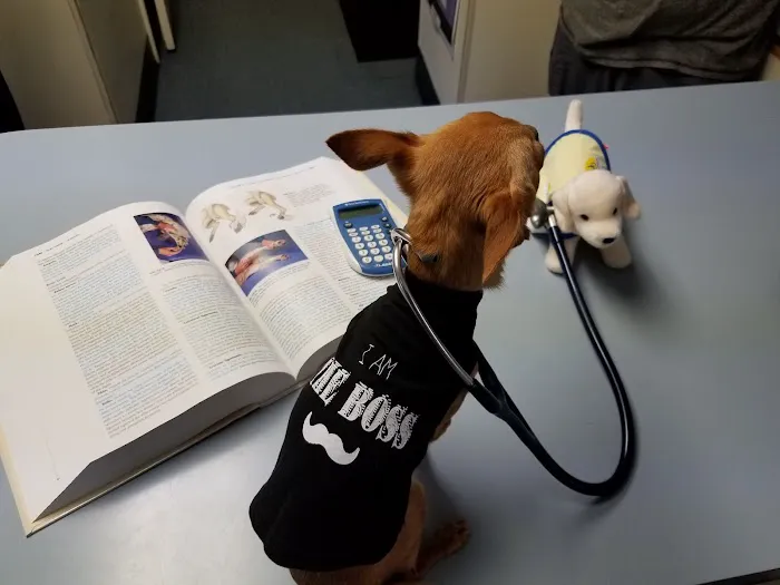 Town & Country Animal Hospital 10
