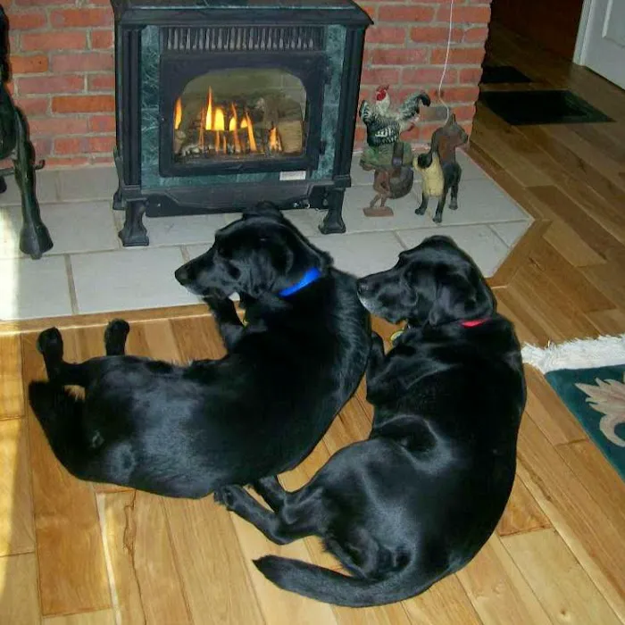 Town & Country Animal Hospital 6