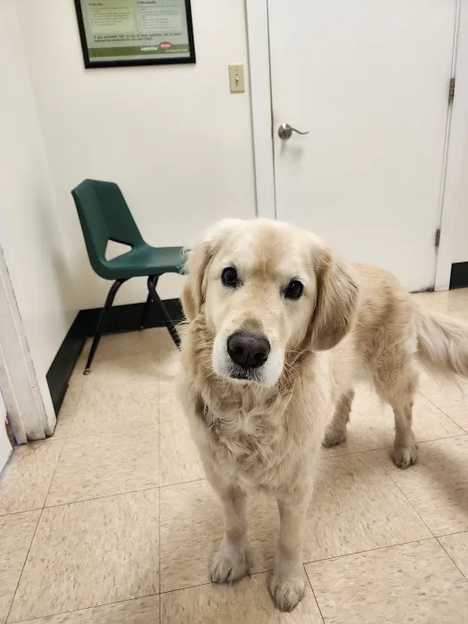 Westside Animal Hospital 8