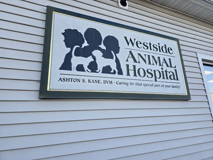 Westside Animal Hospital 10