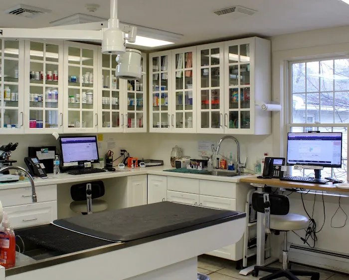 Brookline Animal Hospital, A Thrive Pet Healthcare Partner 8