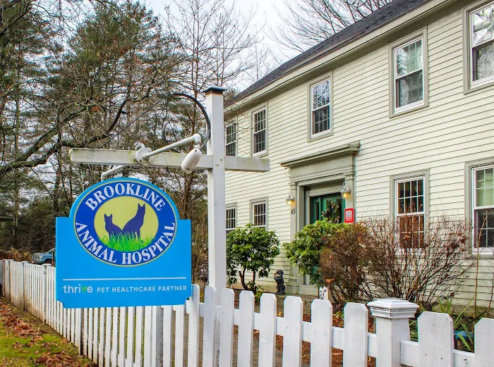 Brookline Animal Hospital, A Thrive Pet Healthcare Partner 4