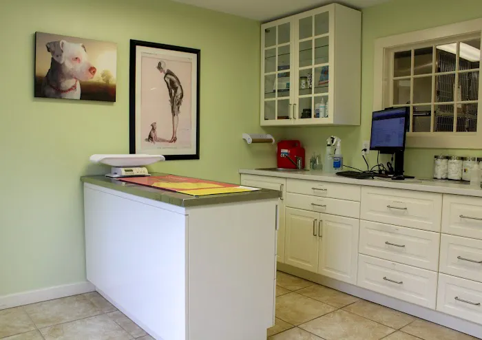 Brookline Animal Hospital, A Thrive Pet Healthcare Partner 2