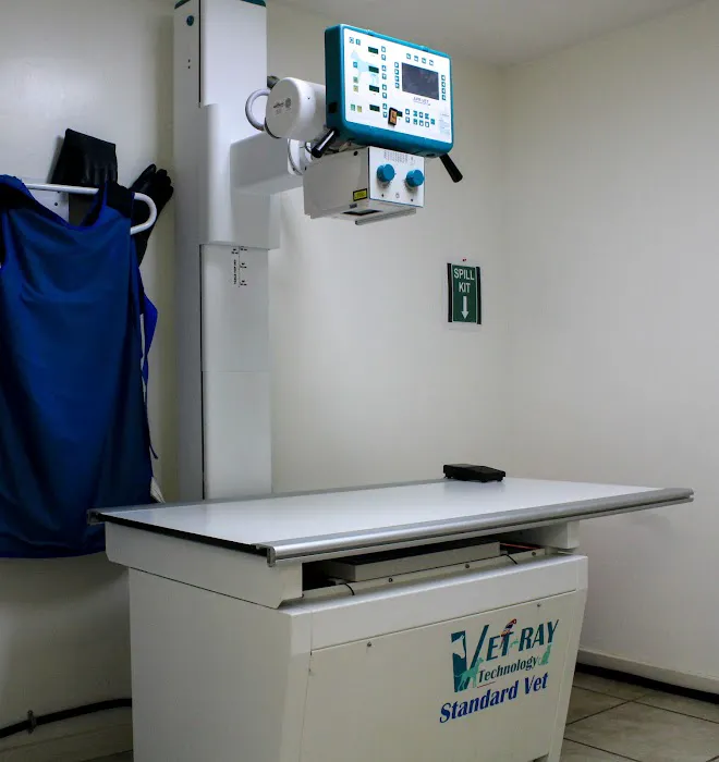 Brookline Animal Hospital, A Thrive Pet Healthcare Partner 7