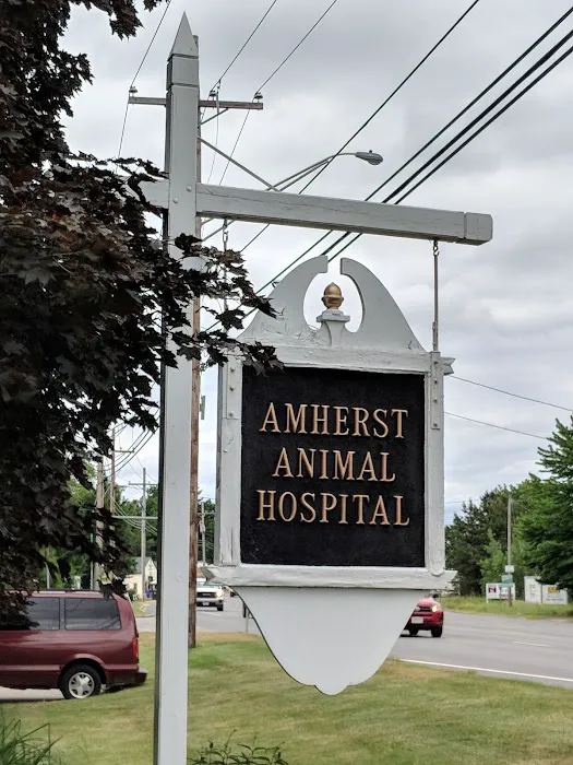 Amherst Animal Hospital 7