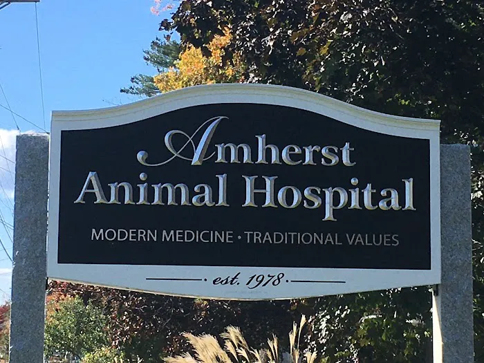 Amherst Animal Hospital 10