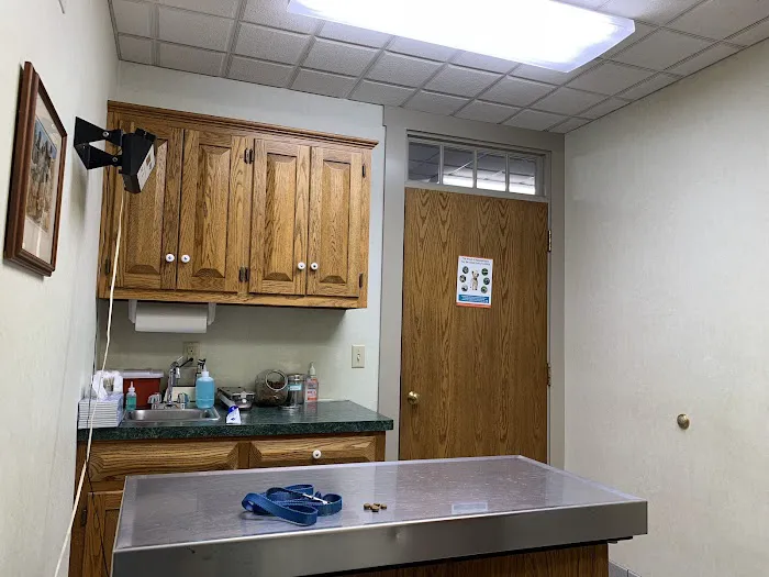 Amherst Animal Hospital 9