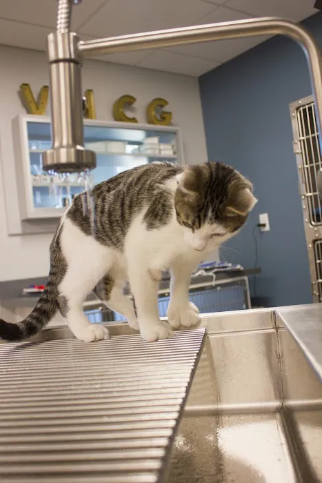 Veterinary Health Care of Groton 6