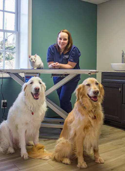 Veterinary Health Care of Groton 4