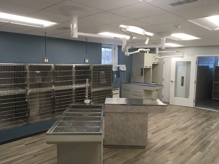 Veterinary Health Care of Groton 9
