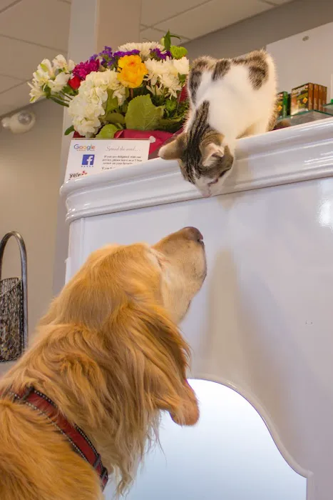 Veterinary Health Care of Groton 3