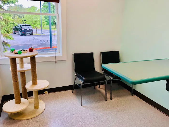 Compassionate Care Veterinary Services 5