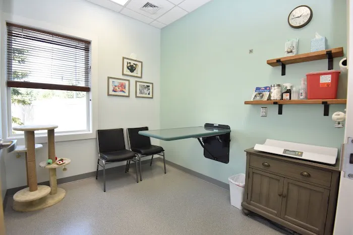 Compassionate Care Veterinary Services 6