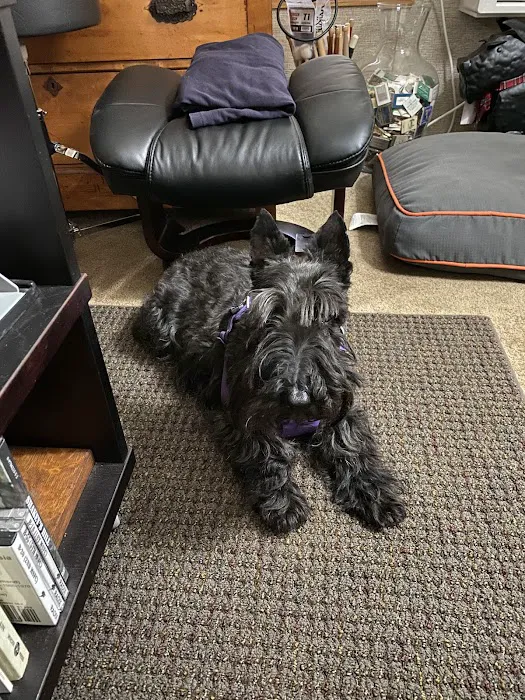 Littleton Animal Hospital 3