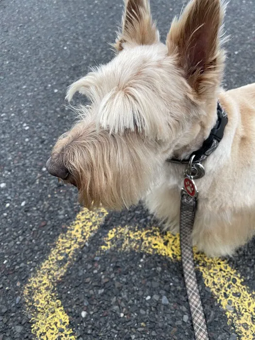 Littleton Animal Hospital 8