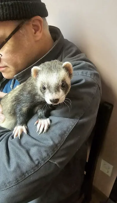 Littleton Animal Hospital 7