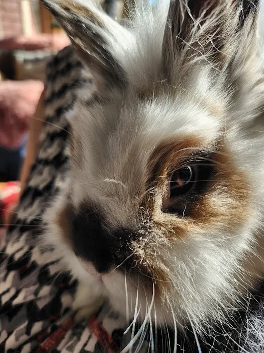 Littleton Animal Hospital 6