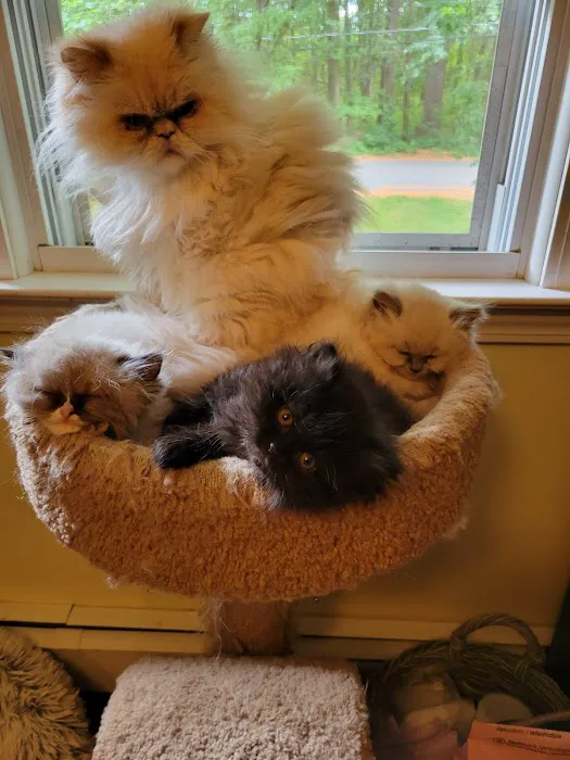 Starwood Veterinary Clinic 5