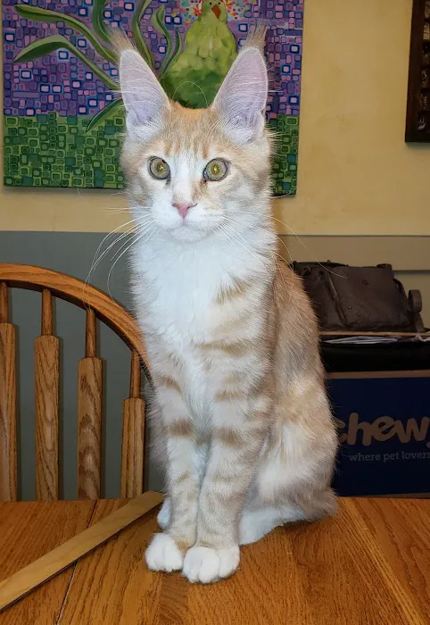 Starwood Veterinary Clinic 2