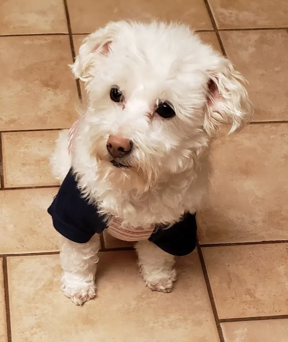 Starwood Veterinary Clinic 1