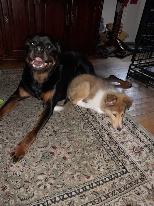 Starwood Veterinary Clinic 7