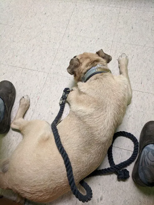 Middlesex Veterinary Center 4