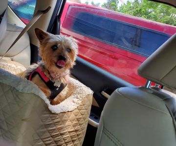 Middlesex Veterinary Center