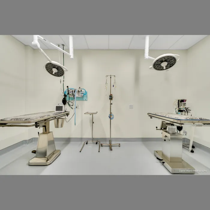 Middlesex Veterinary Center 8