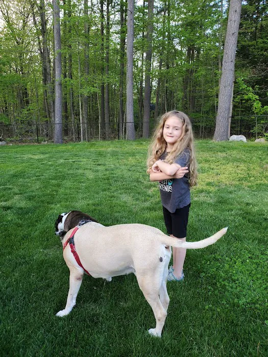 Pepperell Veterinary Hospital 5