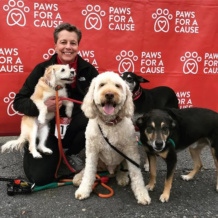 Acton Animal Hospital 10