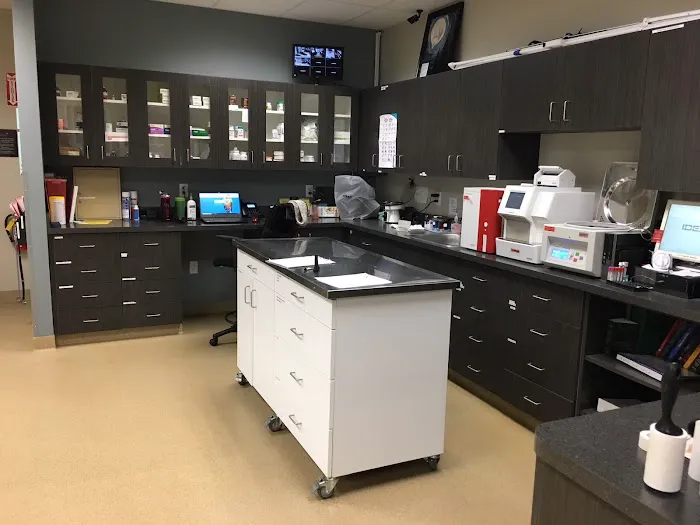 Animal Cancer Care Specialists 2