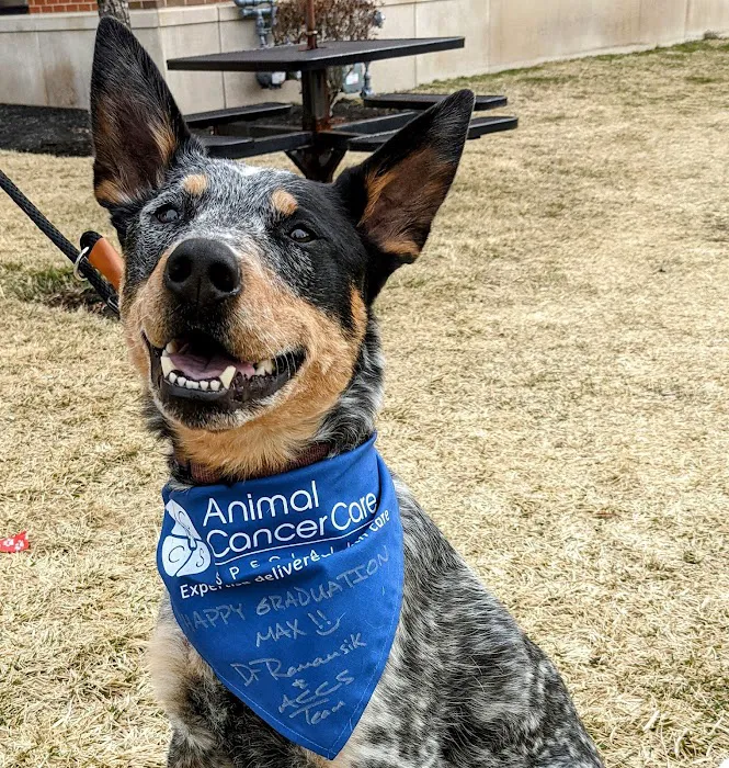Animal Cancer Care Specialists 10