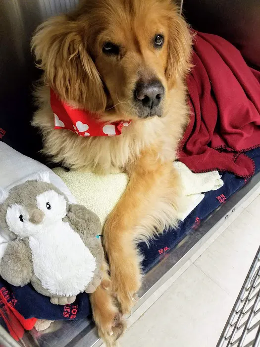 Whole Pet Veterinary Center 5