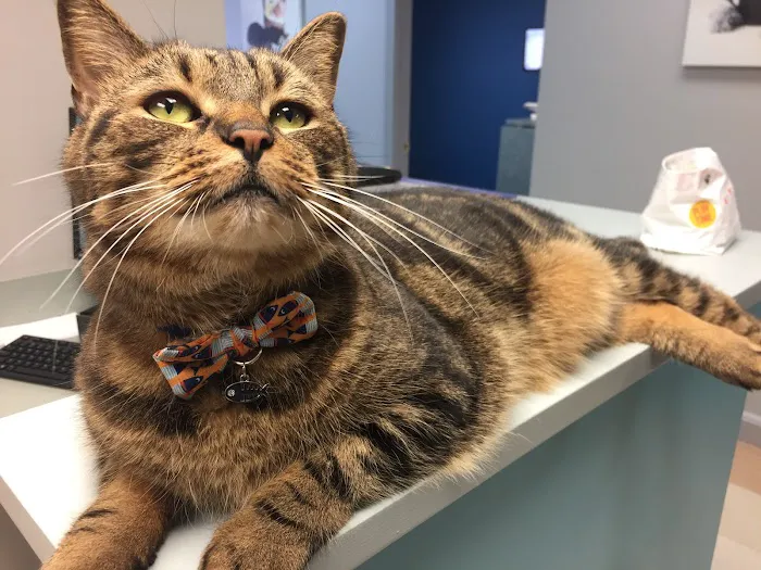 Whole Pet Veterinary Center 3