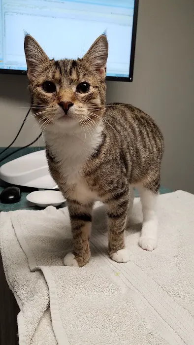 Whole Pet Veterinary Center 2