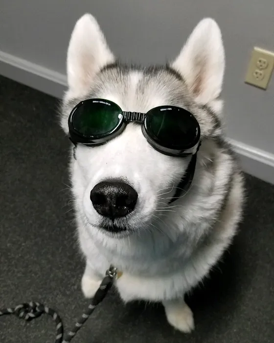 Whole Pet Veterinary Center 10