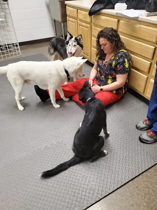 RAAM Mobile Veterinary Care 7