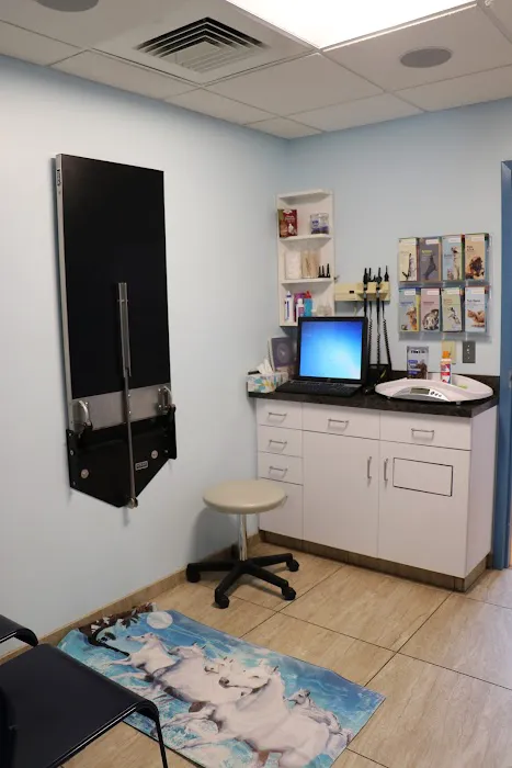 Weare Animal Hospital 8
