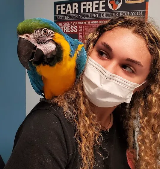 Weare Animal Hospital 1