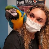 Weare Animal Hospital ico