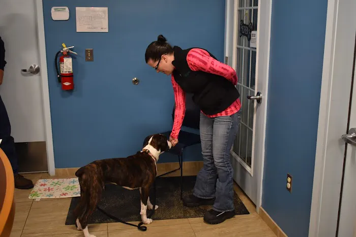 Weare Animal Hospital 4